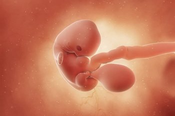 Het hartje begint te kloppen.